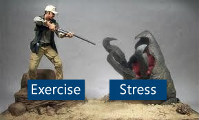 Exercise combats stress